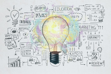Wall Mural - business sketch and light bulb