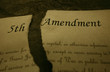 Constitution 5th Amendment rip