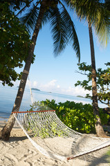 Wall Mural - Large rope hammock hanging between palm trees on the shore of a calm tropical beach