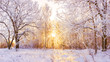 canvas print picture - snowy winter landscape panorama