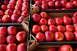 © Andrii - red apples at the wholesale farmer's market