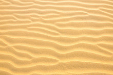 Texture Of Yellow Desert Sand Dunes. Can Be Used As Natural Background