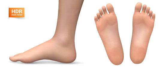 3d illustration,vector foot volume, health and shoe selection