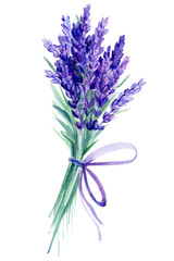 lavender flowers on an isolated white background, bouquet watercolor illustration, hand drawing