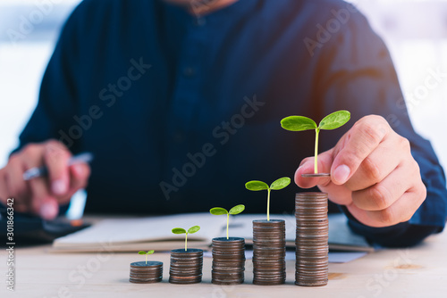 Cuadros en Lienzo businessman stacking coins with plant growing on and use calculator