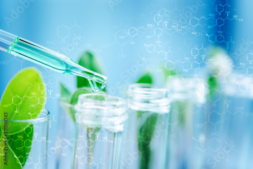Fotomural Dropper over test tube dropping sample chemical into sample herbal plaint , biotechnoloy research concept