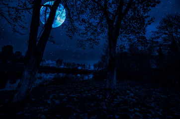 Long exposure shot. Mountain Road through the forest on a full moon night. Scenic night landscape of dark blue sky with moon. Azerbaijan