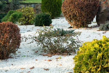 background with pebbles clean and plant beautiful