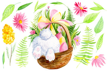 set of elements for easter on a white background, tail and paws of a bunny in a basket with eggs and flowers, watercolor illustration, hand drawing