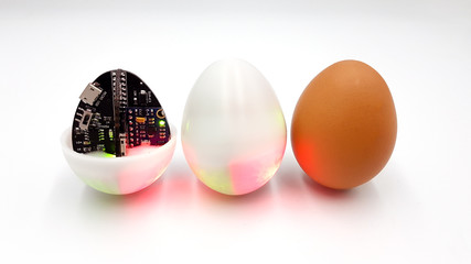 Concept of the evolution of eggs from nature to digital technology