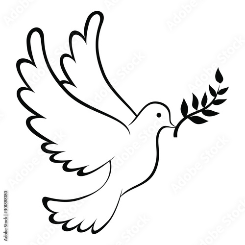 Cuadros en Lienzo Peace Dove Icon With Leaf Coloring Page