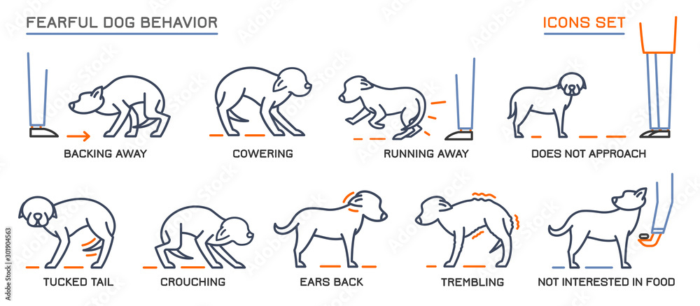 Dog Behavior Icons Set - obrazy, fototapety, plakaty 