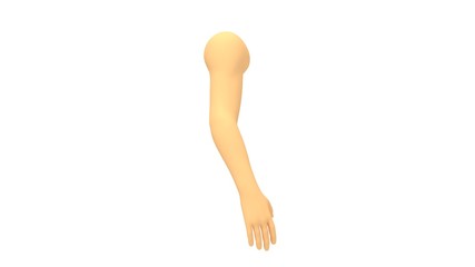 3d rendering of a isolated human arm in on white background