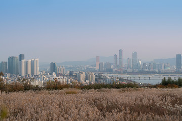 Sticker - White glass in the famous travel place in Seoul, Korea name is Haneul Park during Autumn.