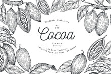 Cocoa Design Template. Chocolate Cocoa Beans Background. Vector Hand Drawn Illustration. Vintage Style Illustration.