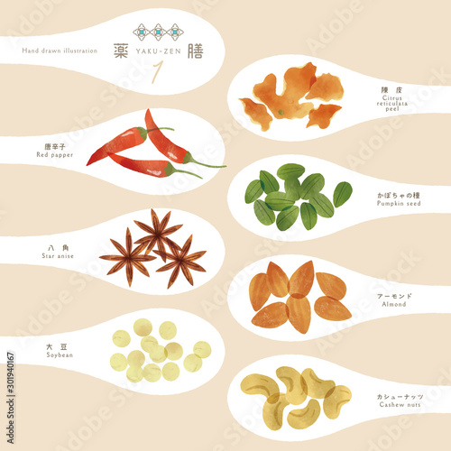薬膳 漢方 ほっこり食材イラスト 1 Stock Vector Adobe Stock 薬膳 漢方 ほっこり食材イラスト 1 Stock Vector Adobe Stock