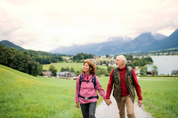 Sticker - A front view of senior pensioner couple hiking in nature, holding hands.