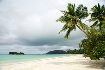 Wall Mural - scenic view of storm clouds brewing on the horizon behind palm trees on a sunny tropical white sand 