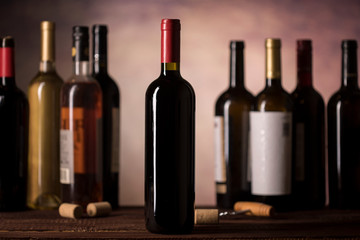 Wall Mural - Wine bottles collection on a dark background