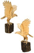 Eagle statue isolated on the white background with clipping path