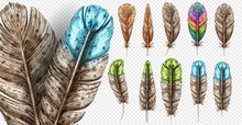 Realistic Set With Small And Big Multicolored Bird Feathers Isolated On Transparent Background Vector Illustration