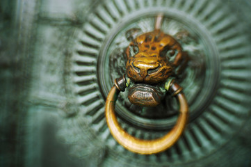 Traditional lion doorknocker in worn brass with green patina on an ancient door in Paris, France