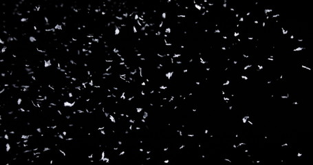 Wall Mural - falling real snowflakes, heavy snow, shot on a black background, frosted, wide-angle, insulated, ide