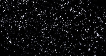 Wall Mural - falling real snowflakes, heavy snow, shot on a black background, frosted, wide-angle, insulated, ide