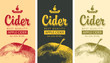 Set of vector labels for Apple cider with a realistic image of an apple and calligraphic inscription in retro style