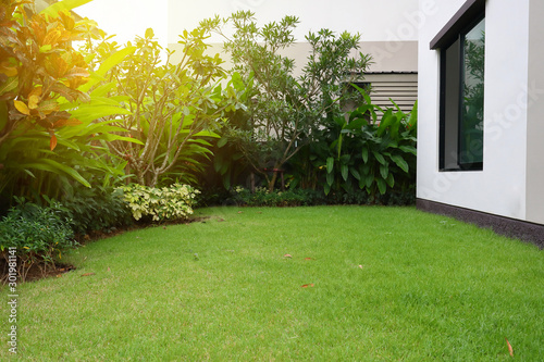 Fotografía lawn landscaping with green grass turf in garden home