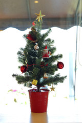 christmas tree ornament in red poted plant