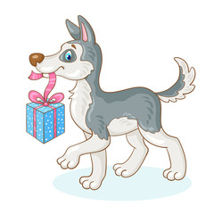 Poster - Funny gray husky puppy with a gift box in his teeth. In cartoon style. Isolated on white background. Vector illustration.