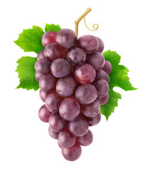 Fototapete - Isolated grapes. Hanging cluster of red grapes isolated on white background with clipping path
