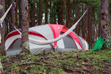 Fototapeta  - Tent in forest