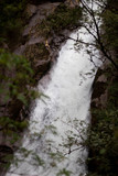 Fototapeta  - Waterfall in forest