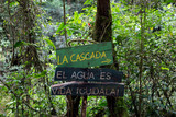 Fototapeta  - Wooden sign in forest