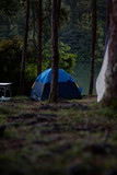 Fototapeta Desenie - Tent in the forest