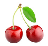 Fototapeta Koty - sweet cherry berry isolated on white background