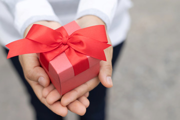 Wall Mural - female hands holding gift box red wrapped pack with beautiful ribbon. outdoor background. for surprise special event with copy space. Christmas, birthday or new year concept. High resolution product.