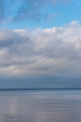 Wall Mural - Baltic Sea Beach in November on a Cloudy Day