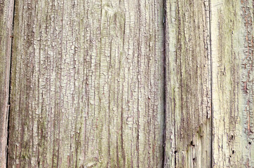 old wooden fence with old paint