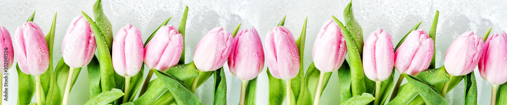 Pink tulips flowers - obrazy, fototapety, plakaty 
