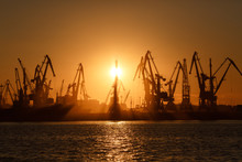 Many Big Cranes Silhouette In The Port At Golden Light Of Sunrise Reflected In Water. Berdiansk, Ukraine