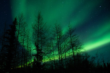 northern lights in canada