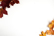 Minimalistic autumn composition. Colorful leaves on white background with copy space