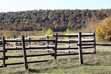 A horse farm along the road in beautiful autumn mood