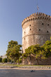 A dog in front of White Tower of Thessaloniki