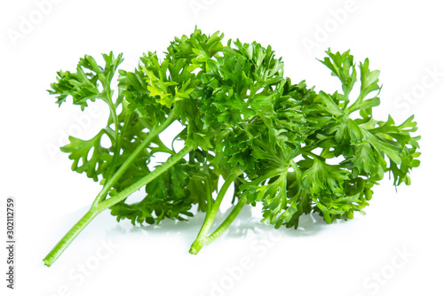 Fotomural Parsley isolated on white background