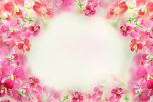 Beautiful Pink And Red Orchid Flower Frame Background 