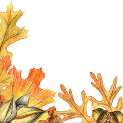 Autumn leaves and acorn border frame with space text on transparent background. Seasonal floral maple oak tree orange leaves with gourds for thanksgiving holiday watercolor pencils illustration